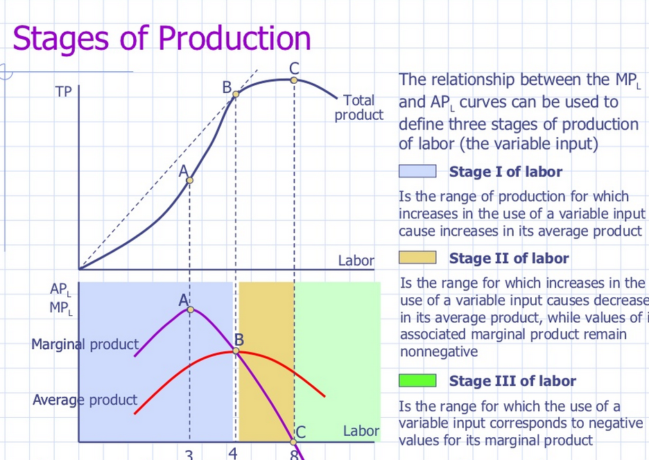 Handout Short Run Production Theory Economic Investigations